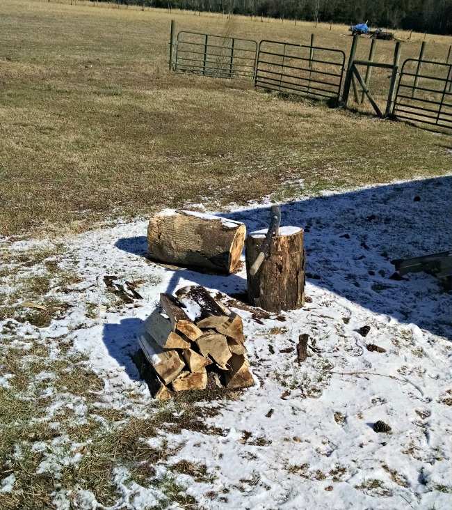 Being Sick in Spring...the Daily Farm Adventures {108} 13 spring meds 07
