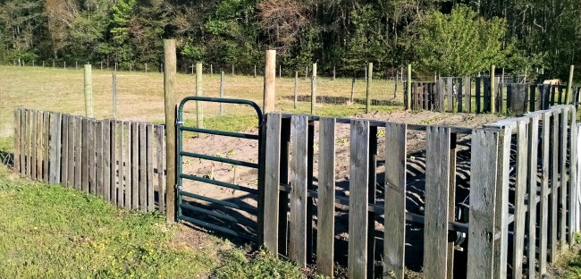 Easy Pallet Garden Fence 5 pallet fence 02