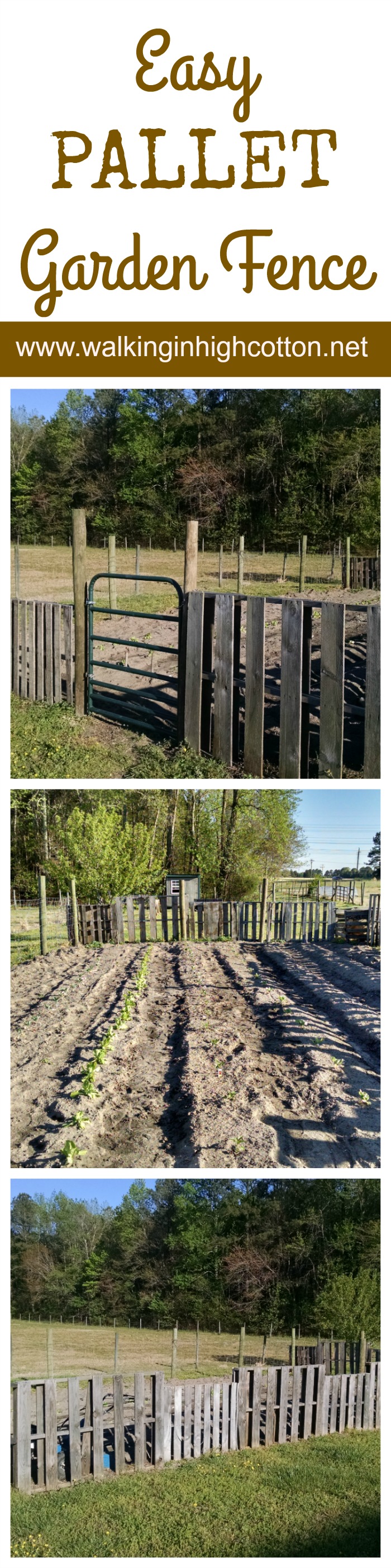 Easy Pallet Garden Fence 1 Building an easy, one-day garden fence out of pallets and wire. (at www.walkinginhighcotton.net)