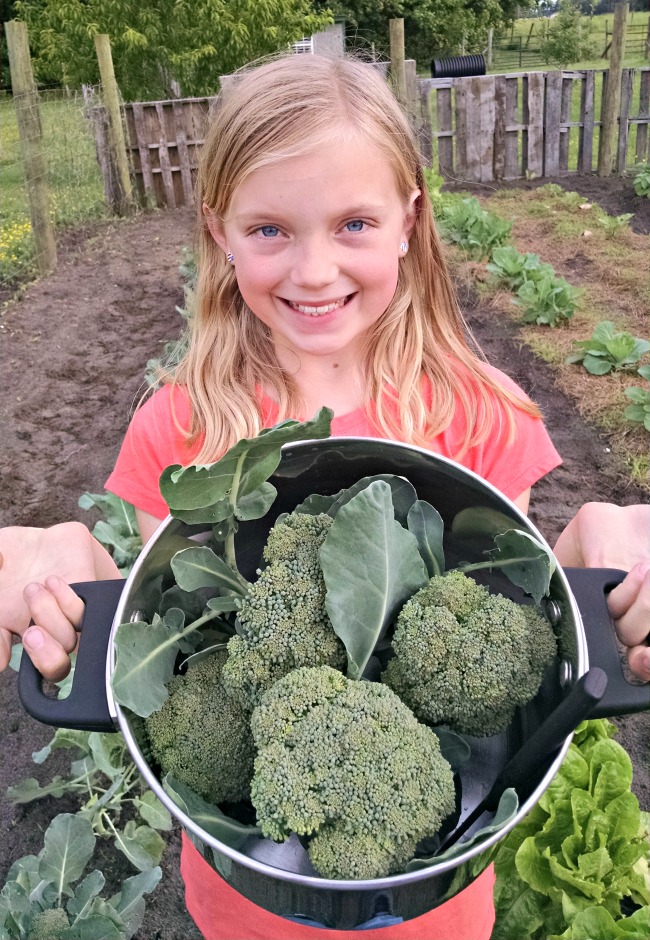 Easy Pallet Garden Fence 17 picking dinner