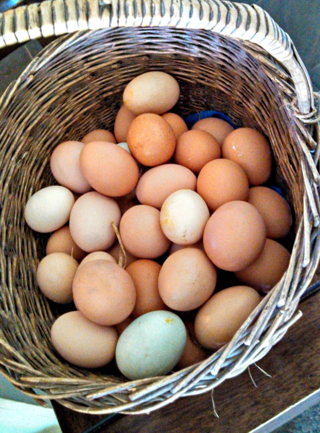 extra eggs