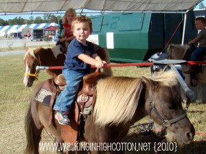 fair (4)