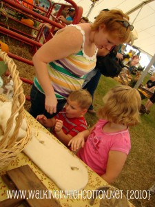 fair (5)