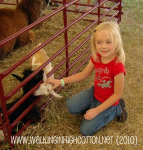 fair (13)