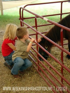 fair (20)