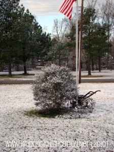 snow (1)
