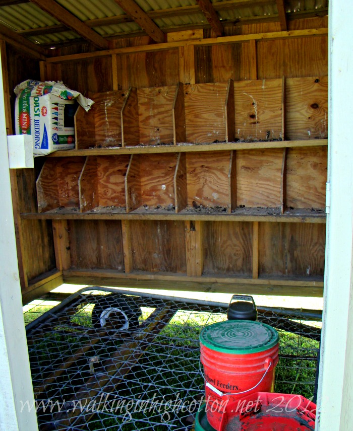 mobile chicken house 3