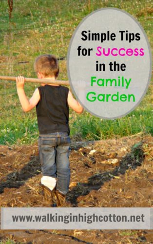 Simple DOs and DON'Ts to have a fun, successful season in the family garden. Learning, loving, enjoying fresh air and family time together. via Walking in High Cotton