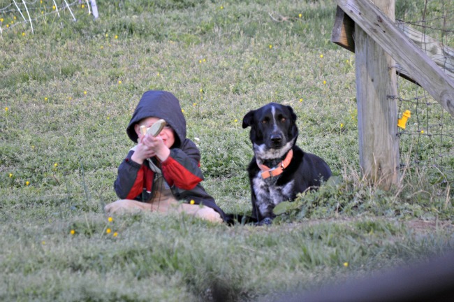 Poor Penny! The dog is the definition of loyal. She army crawled across the yard with the Cowboy and stayed with him through "sniper fire" and "grenades" and even ambushes from the back porch.