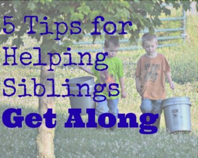 5 tips for helping siblings get along {via Walking in High Cotton}