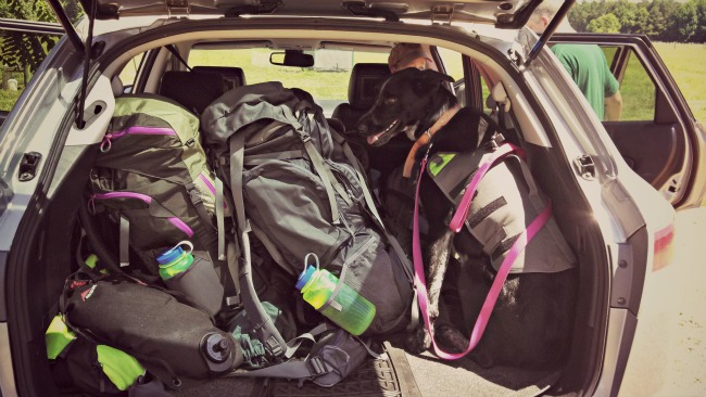 We loaded everything up--including Penny!--and headed out on Saturday morning.