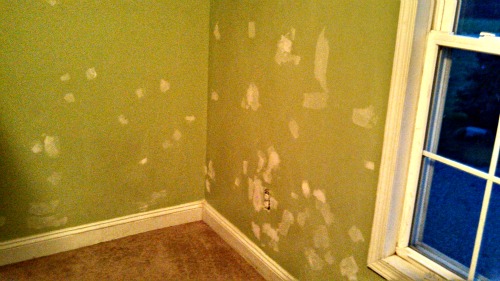 Apparently someone was galloping their horse across the "green prairie."