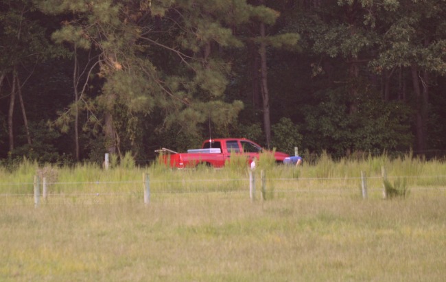 The Cowboy is always game for farm work. Speedracer was sleeping.