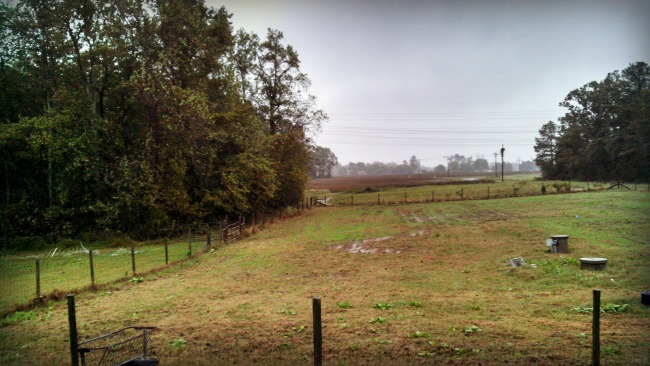 Yeah, we're a little wet lately.