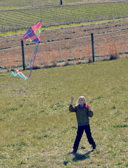 Let's Go Fly A Kite...and the Daily Farm Adventures 1 fly a kite 7