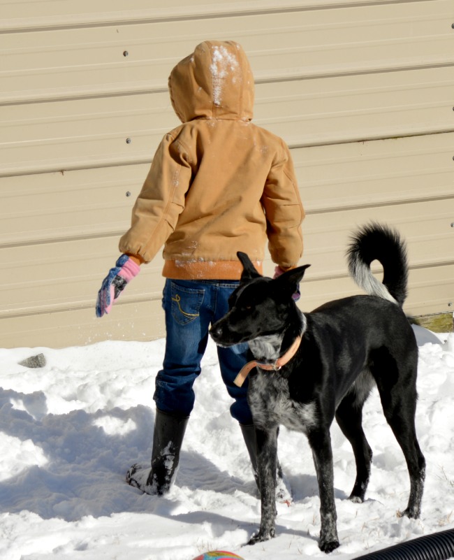 I think Penny might have loved the snow more than anyone. We couldn't get her to come inside!
