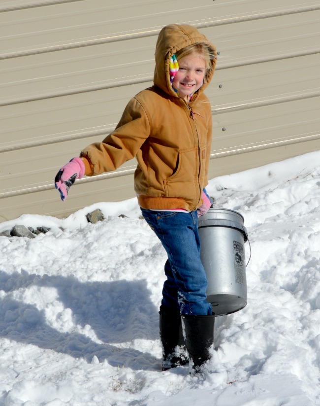 Our buckets were doing double time as chores and snow plows.