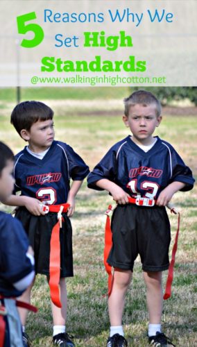 5 Reasons why we set high standards for behavior and work--even for our young children. {via www.walkinginhighcotton.net}