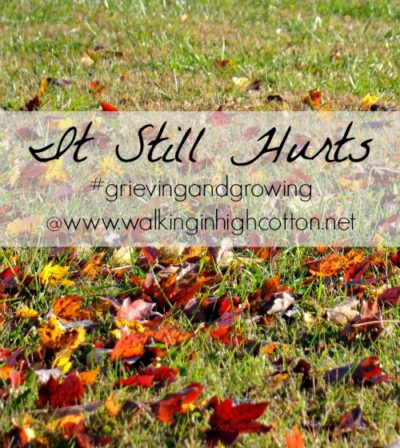 It Still Hurts...Grieving and Growing @ Walking in High Cotton