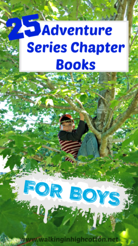 25 Adventure Series Chapter Books for Boys. Great for independent readers or for read aloud family time! via Walking in High Cotton