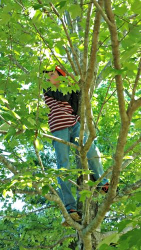 25 Adventure Series Chapter Books For Young Boys » Walking in High Cotton