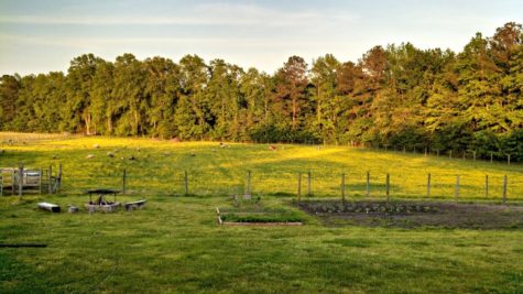 farm in real color