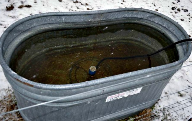 Hauling Water, and Cold Farm Kids...the Daily Farm Adventures {100} 9 winter water 02