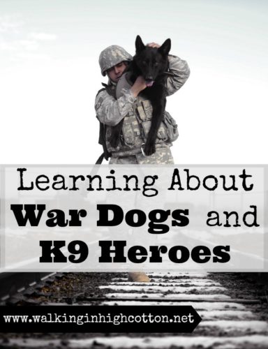 Resources for Learning about War Dogs and K9 Heroes {at Walking in High Cotton} #homeschooling #military #wardogs #heroes