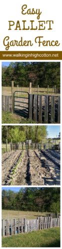Building an easy, one-day garden fence out of pallets and wire. (at www.walkinginhighcotton.net)