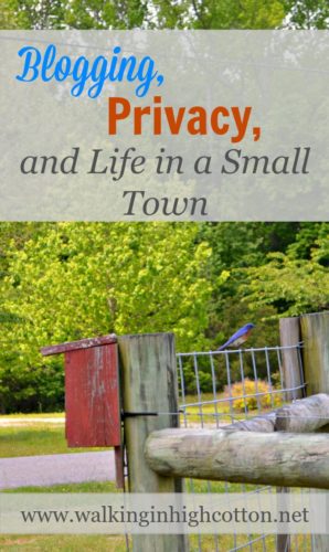 Blogging, Privacy, and Life in a Small Town (via Walking in High Cotton)