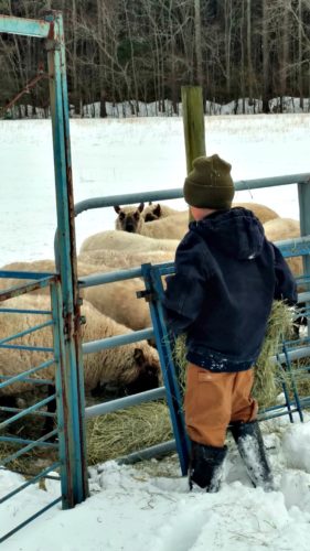 winter chores in the first snow of the year at The Lowe Farm {Walking in High Cotton}