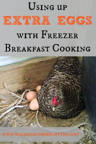 How to use up those extra spring eggs with freezer breakfast cooking via Walking in High Cotton Great ideas for busy families, wholesome food, and waste-not-want-not values.