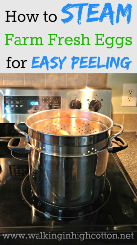How to Steam Farm Fresh Eggs for Easy Peeling...no aging, no ice bath, no baking soda, just perfect eggs! via Walking in High Cotton