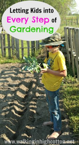 Letting Kids Help with Every Step of Gardening via Walking in High Cotton