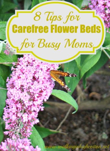 8 tips for carefree flower beds for busy moms--add color without the work. via Walking in High Cotton