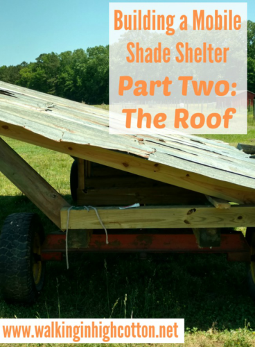 Building A Mobile Shade Shelter (Part Two) The Roof...for pasture based, rotational grazing livestock via Walking in High Cotton