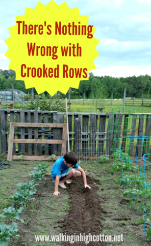 Don't let your Pin-perfect visions keep you from seeing the REAL point of gardening with kids ... There's Nothing Wrong with Crooked Rows via Walking in High Cotton