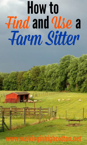 How to Find and Use a Farm Sitter to Enjoy Vacation as a Homesteader... via Walking in High Cotton