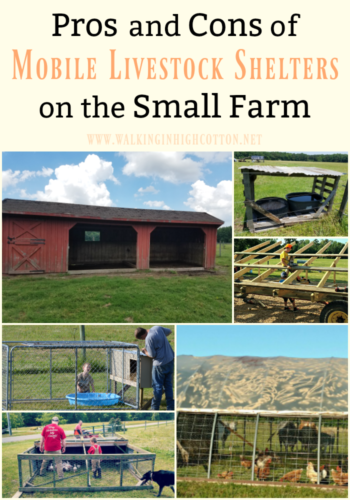 The Pros and Cons of using Mobile Livestock Shelters on the Small Farm ... via Walking in High Cotton