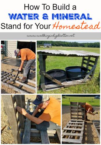 How To Build a Mobile Water and Mineral Stand for your Homestead...via Walking in High Cotton