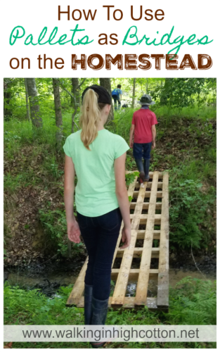 How to use wooden pallets as small bridges around the homestead. Via Walking in High Cotton
