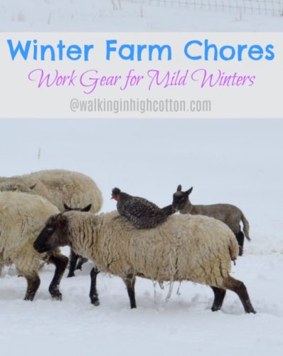 Work Gear for winter farm chores in mild climates, where you get a little bit of snow and ice, but nothing major. No snow pants and boots, just layers of everyday work gear.....via Walking in High Cotton