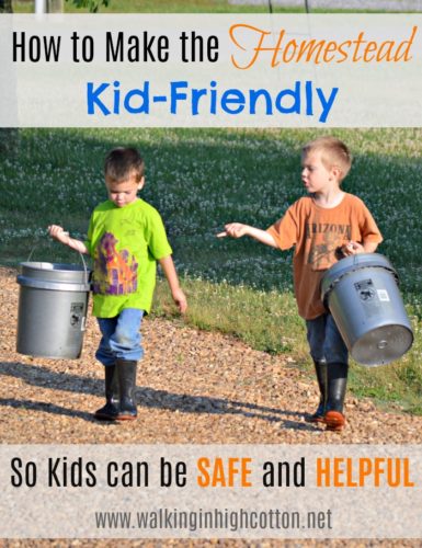 How to make the homestead kid-friendly...so kids can be SAFE and HELPFUL on the farm. Adjusting your mechanics (and your expectations) to meet your little helpers! via Walking in High Cotton