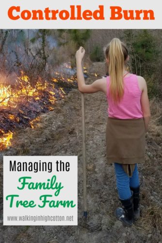 Controlled Burn...managing the family tree farm with prescribed burning. via Walking in High Cotton