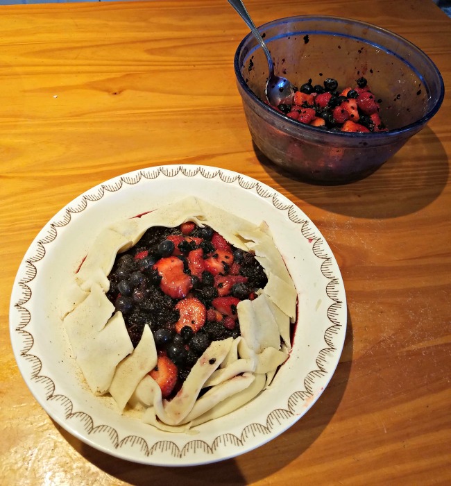 30+ Mulberry Recipes for WildHarvested Berries » Walking in High Cotton