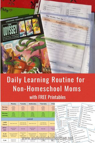Daily Learning Routine for the Non-Homeschool Moms, with FREE Printable weekly schedule and assignment sheets.Perfect for organizing and managing these challenging times in quarantine OR for transitioning from school to summer break. Via Walking in High Cotton