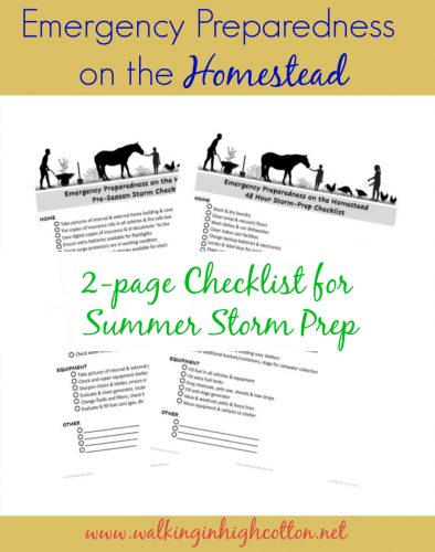 FREE emergency preparedness checklist for the home and homestead @ Walking in High Cotton