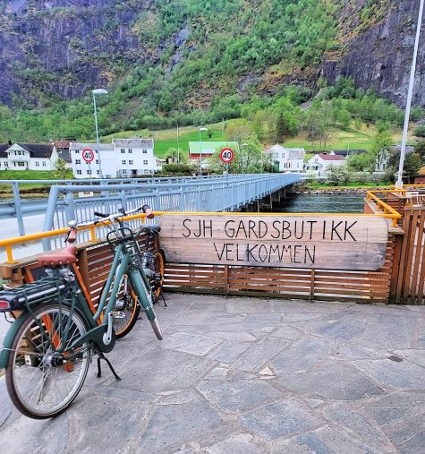Spring Road Trip through Norway by Camper Van 15 20240507 090155 1