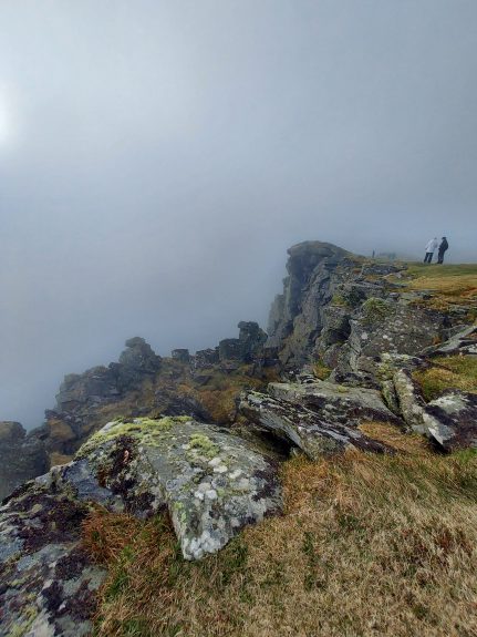 Seeing puffins on Runde Island, Norway. May 2024