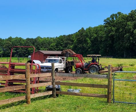 Cows, compost,  and cow paddies...the daily farm adventures
